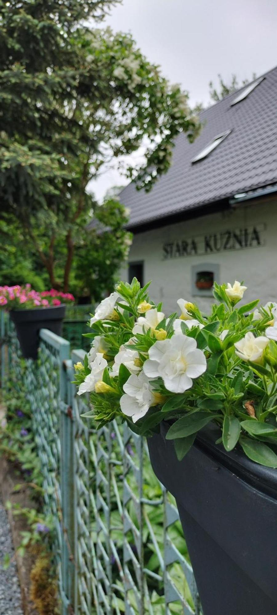 Stara Kuznia Apartman Duszniki Zdrój Kültér fotó